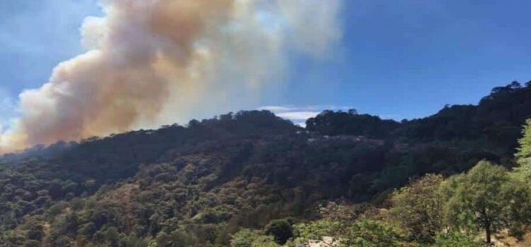 Incendio forestal afecta 10 hectáreas en Tlahuiltepa, Hidalgo