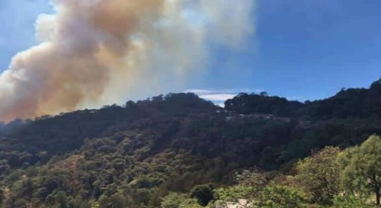 Incendio forestal afecta 10 hectáreas en Tlahuiltepa, Hidalgo
