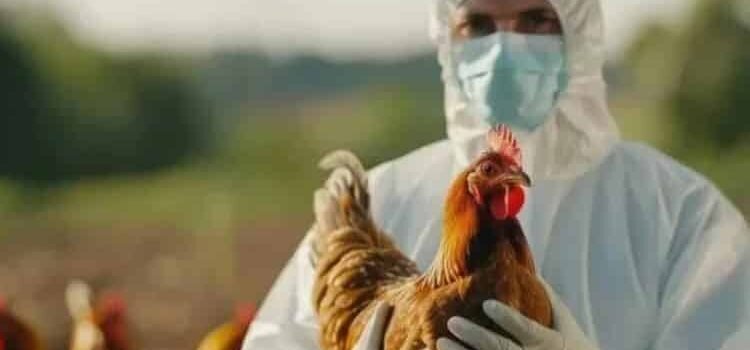 Confirma el IMSS que no hay alerta sanitaria tras caso de influenza aviar en Durango