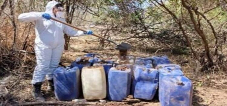 Desmantelan 839 laboratorios clandestinos en 17 estados, incluido Hidalgo