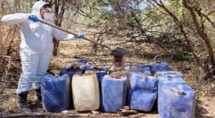 Desmantelan 839 laboratorios clandestinos en 17 estados, incluido Hidalgo