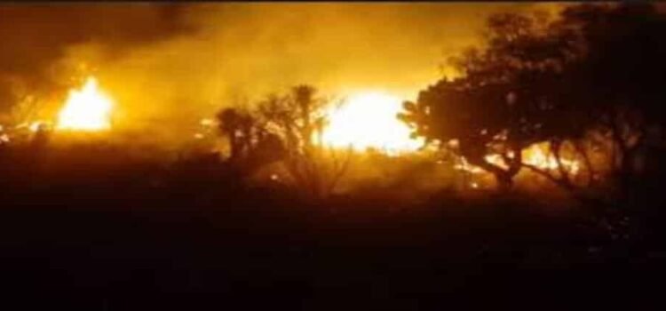 Incendio forestal sin control en Epazoyucan, Hidalgo