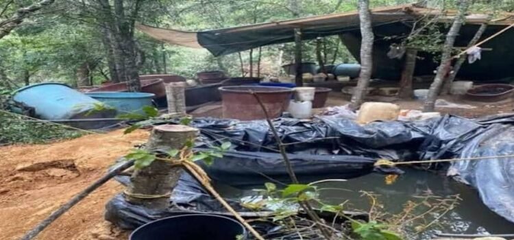 DEA revela que tres cárteles del narcotráfico operan en Hidalgo