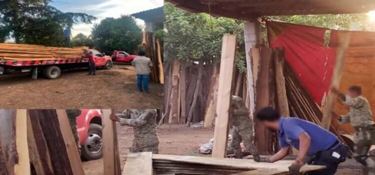 Desmantelan tres aserraderos ilegales en Hidalgo