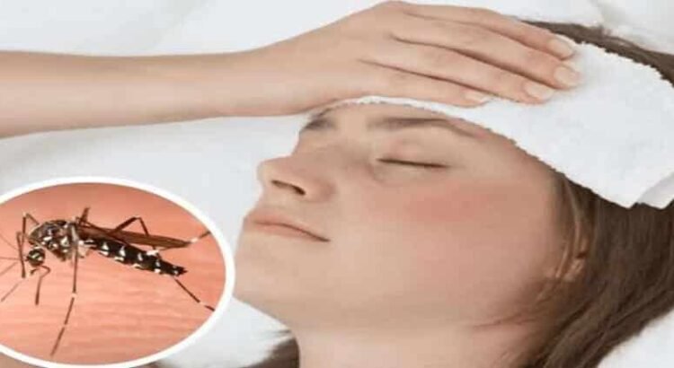 Crece el dengue en Hidalgo; ya van 28 casos