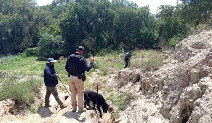 Restos hallados en Mineral de la Reforma podrían ser de joven desaparecido en Pachuca