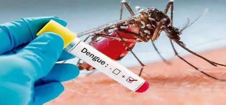 Confirman 37 casos de dengue en Hidalgo