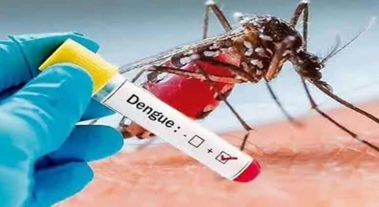 Confirman 37 casos de dengue en Hidalgo