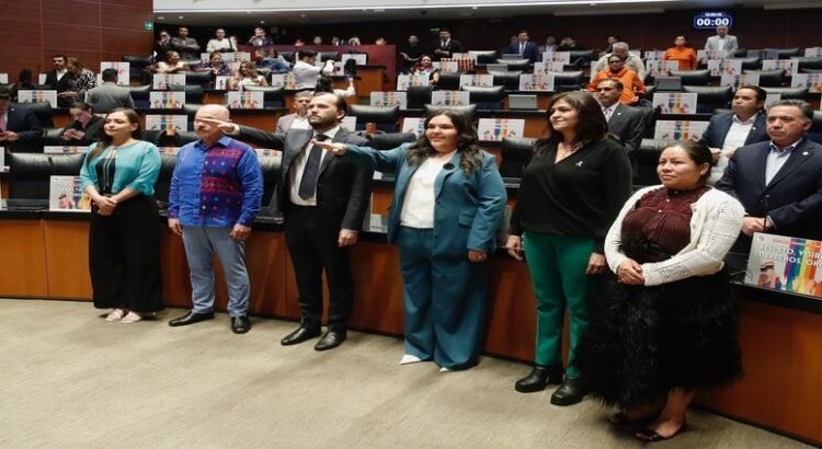 Erika Cabrera toma protesta como senadora suplente de Morena por Hidalgo
