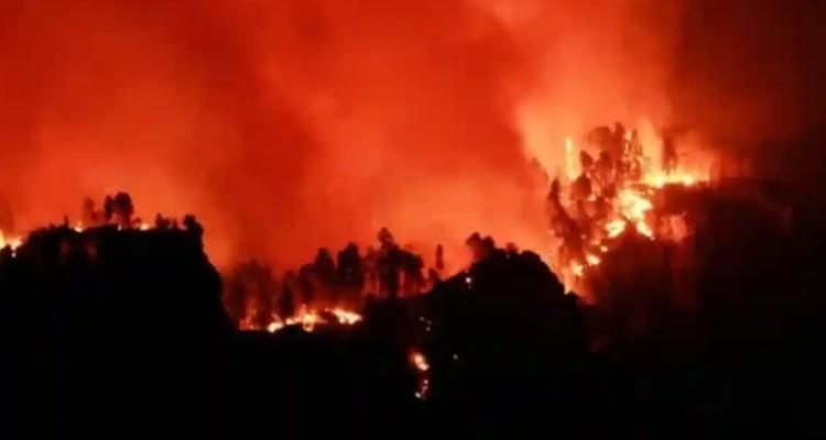 Crisis climática, “una amenaza urgente y existencial”: CIJ