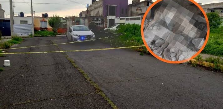 Reportan muerte de 10 perros por presunto envenenamiento en Pachuca