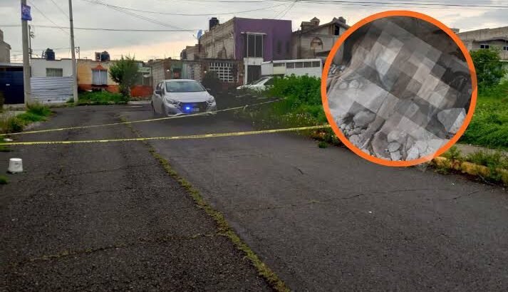 Reportan muerte de 10 perros por presunto envenenamiento en Pachuca