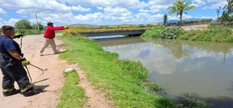 Auto cae al canal Requena en Hidalgo; mueren dos adultos y sigue la búsqueda de un niño de ocho años Auto cae al canal Requena en Hidalgo; mueren dos adultos y sigue la búsqueda de un niño de ocho años