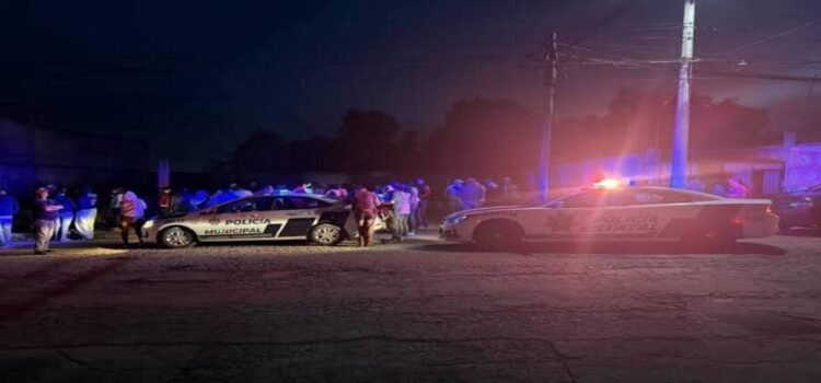 Droga, seis narcomenudistas detenidos y 29 perros rescatados, tras dos cateos en Hidalgo