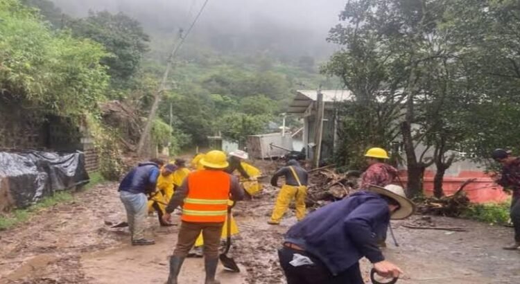 Huracán Priscila dejó cerca de 29 mil cabezas de ganado y 20 mil hectáreas de cultivo siniestradas Huracán Priscila dejó cerca de 29 mil cabezas de ganado y 20 mil hectáreas de cultivo siniestradas