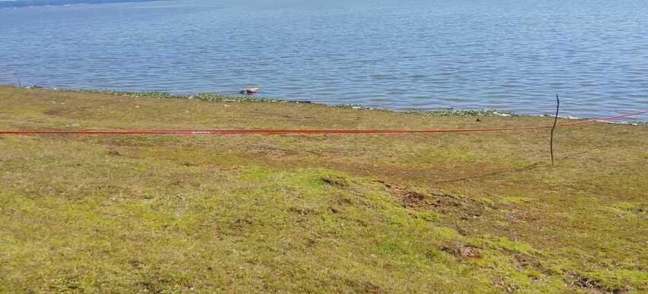 Dos personas fallecen por presunto ahogamiento en Acaxochitlán